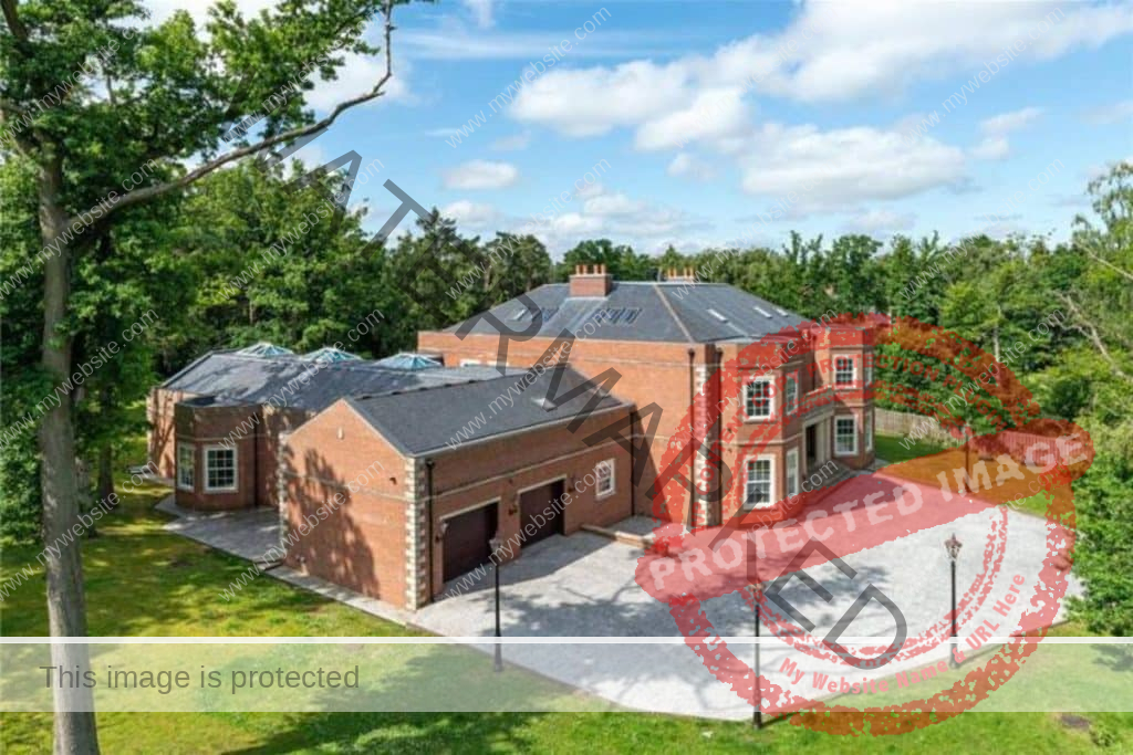 Tranwell Woods, Morpeth, Northumberland